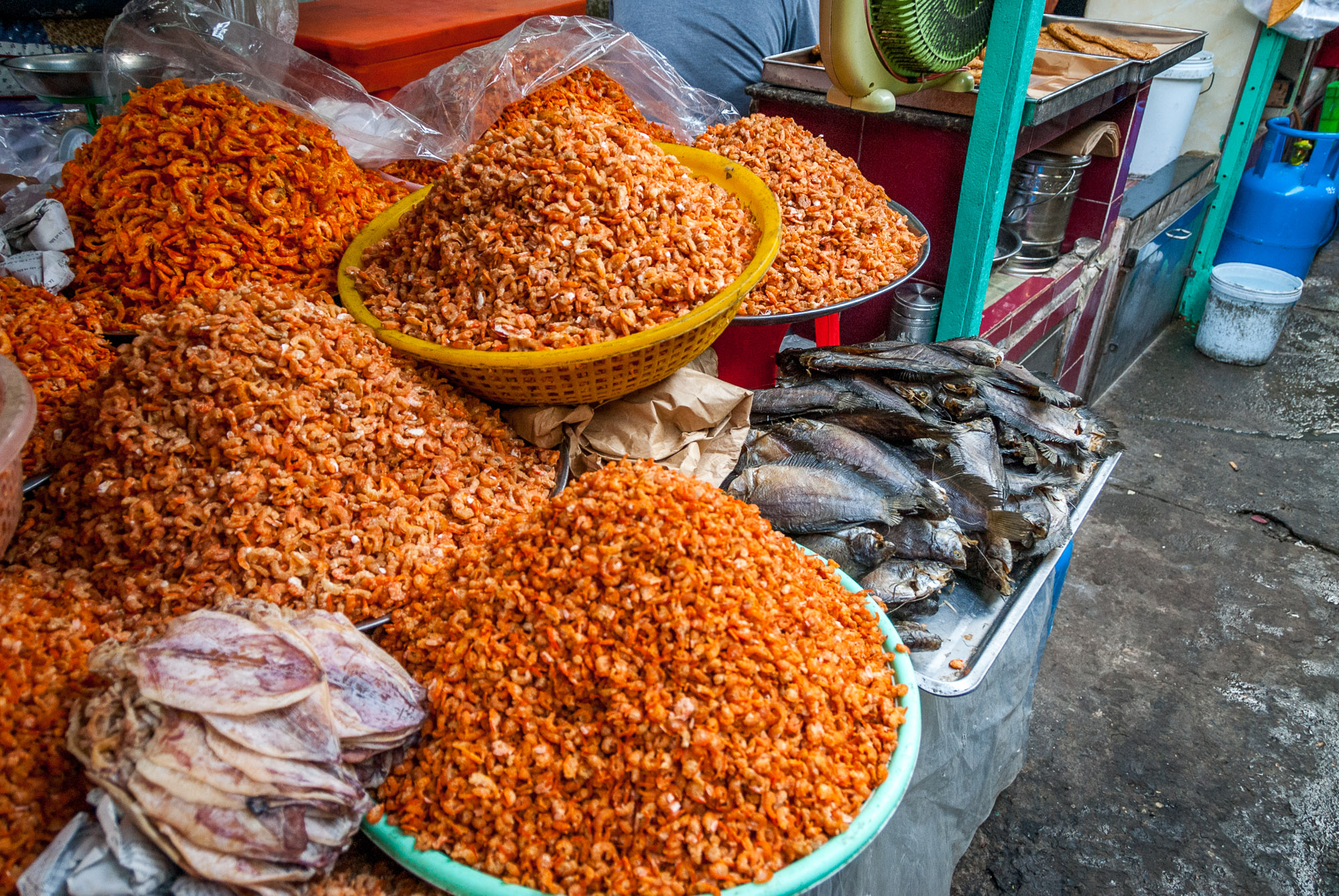 Piles of dried shrimp and other fish