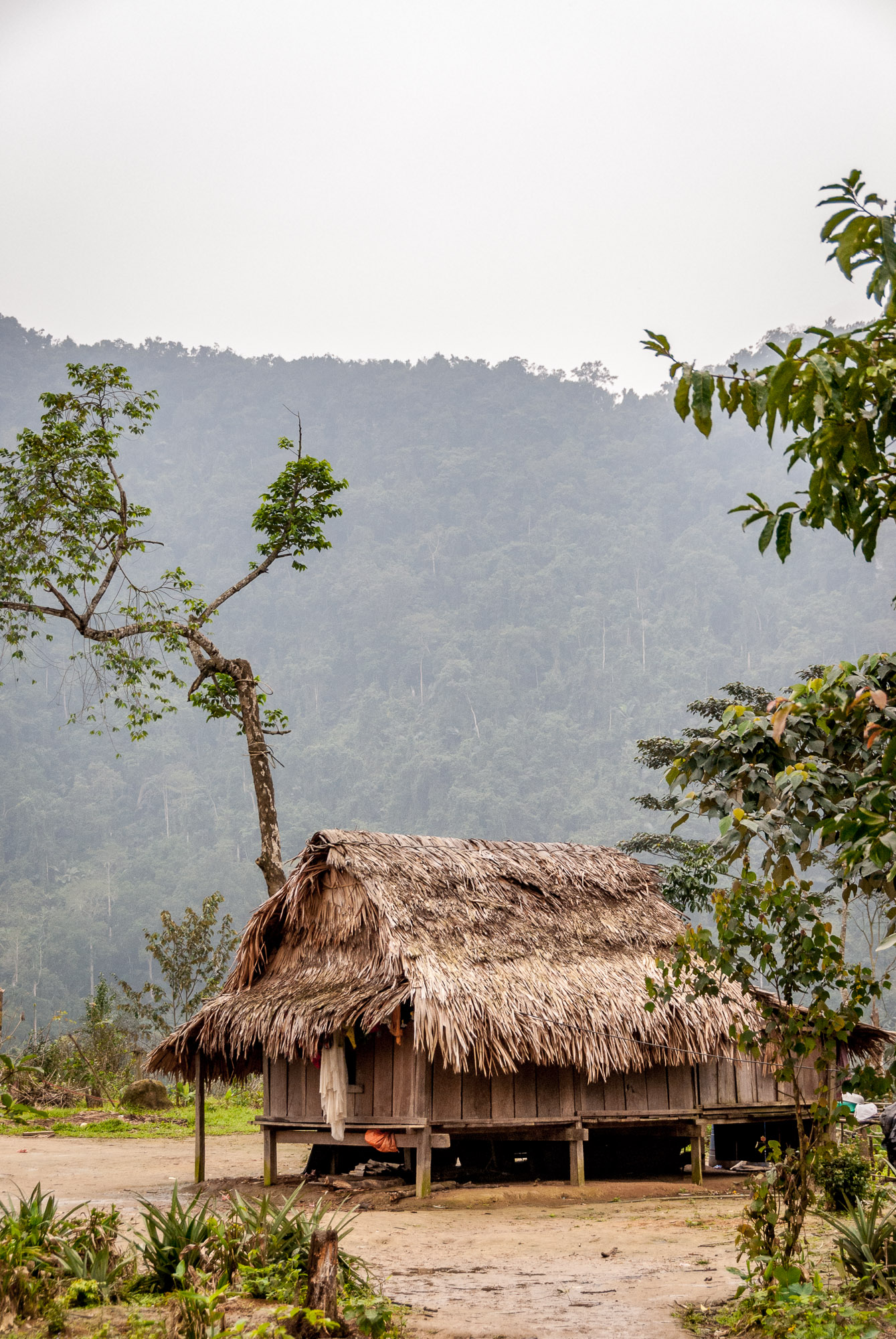 Phong Nha Village House