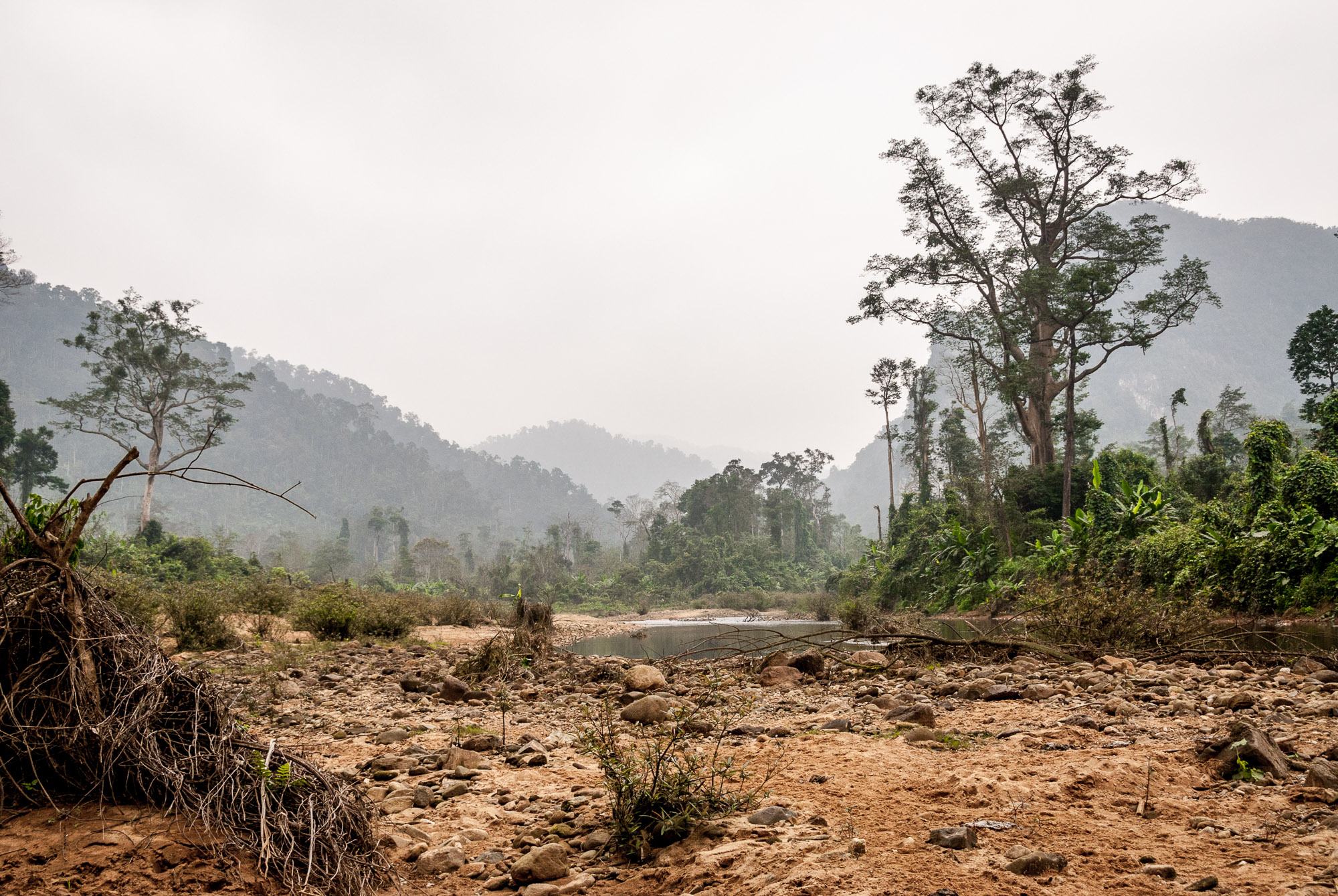 Phong Nha national park