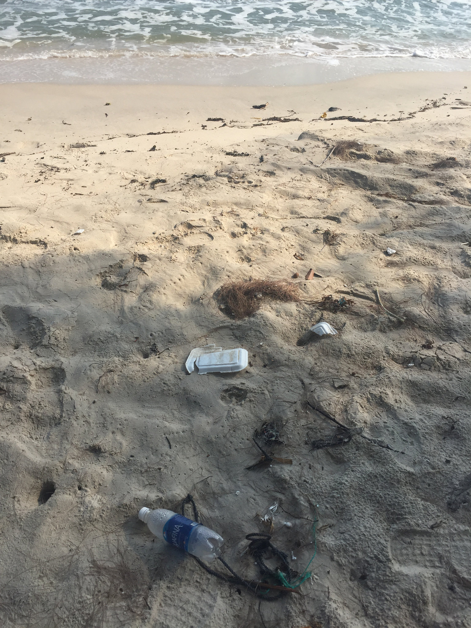 beach trash