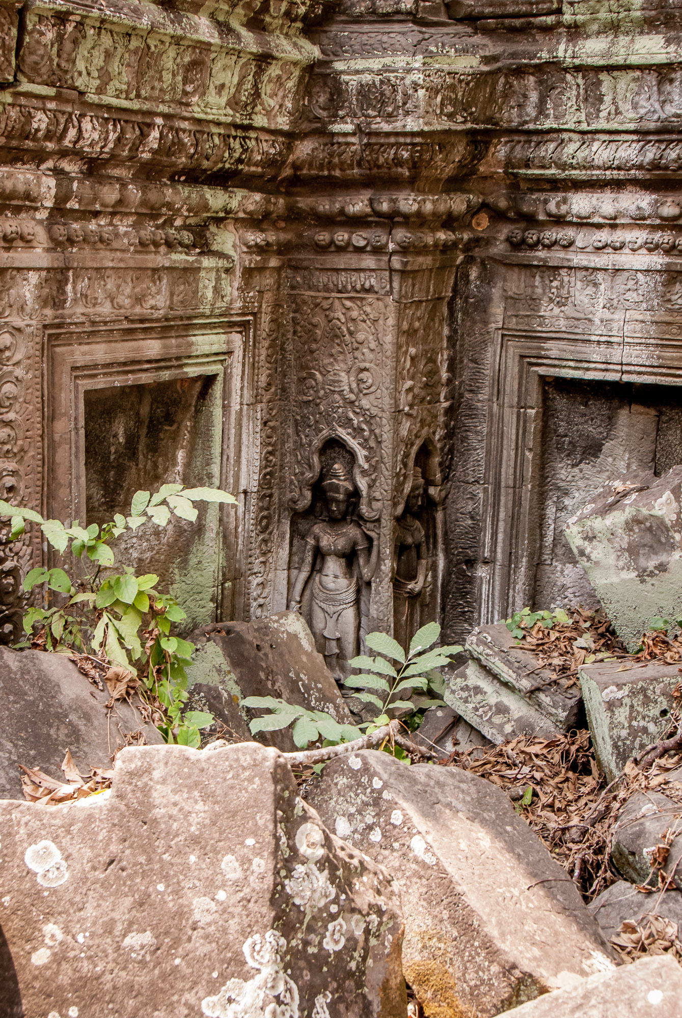 Ta Prohm detail