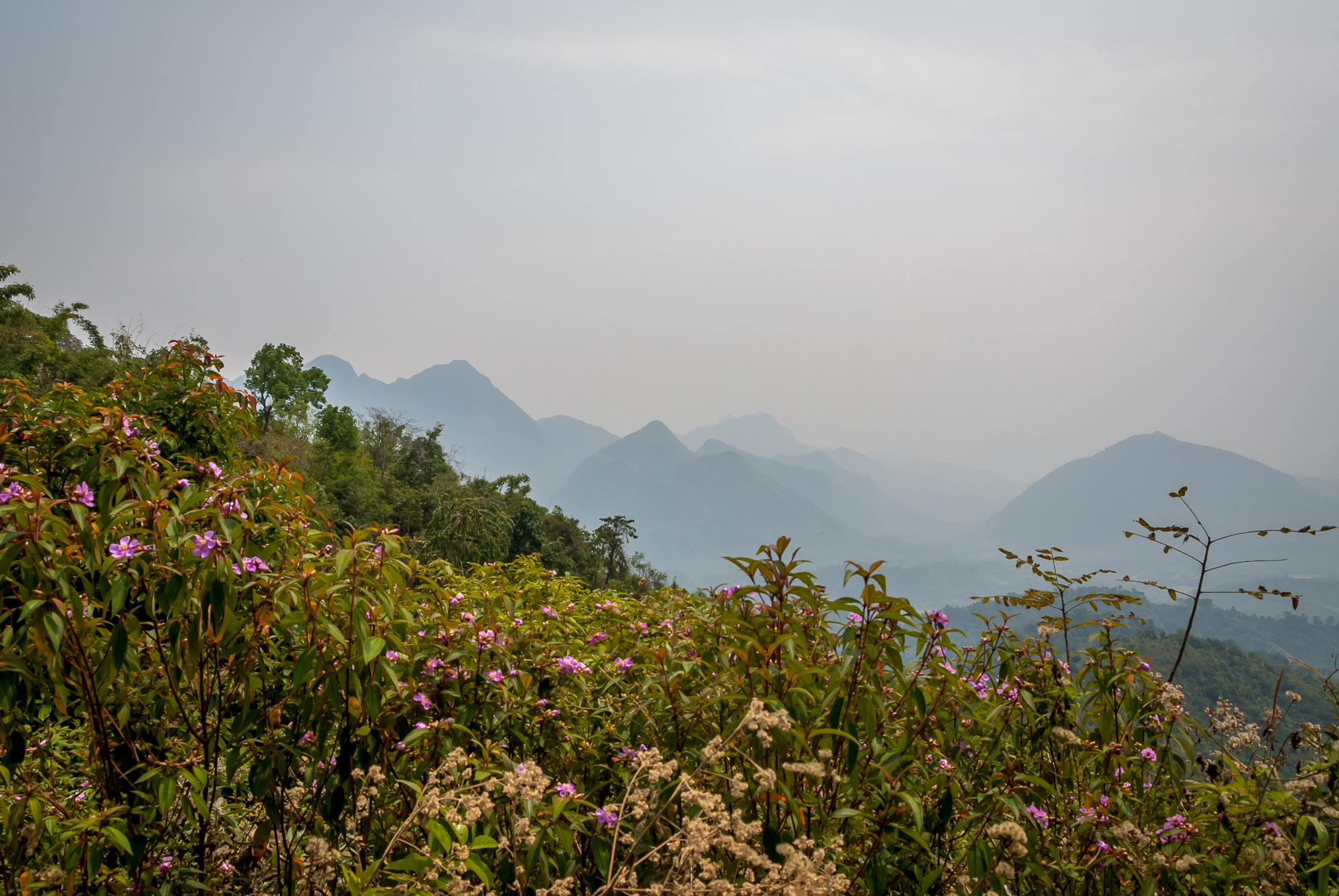 mountain view laos