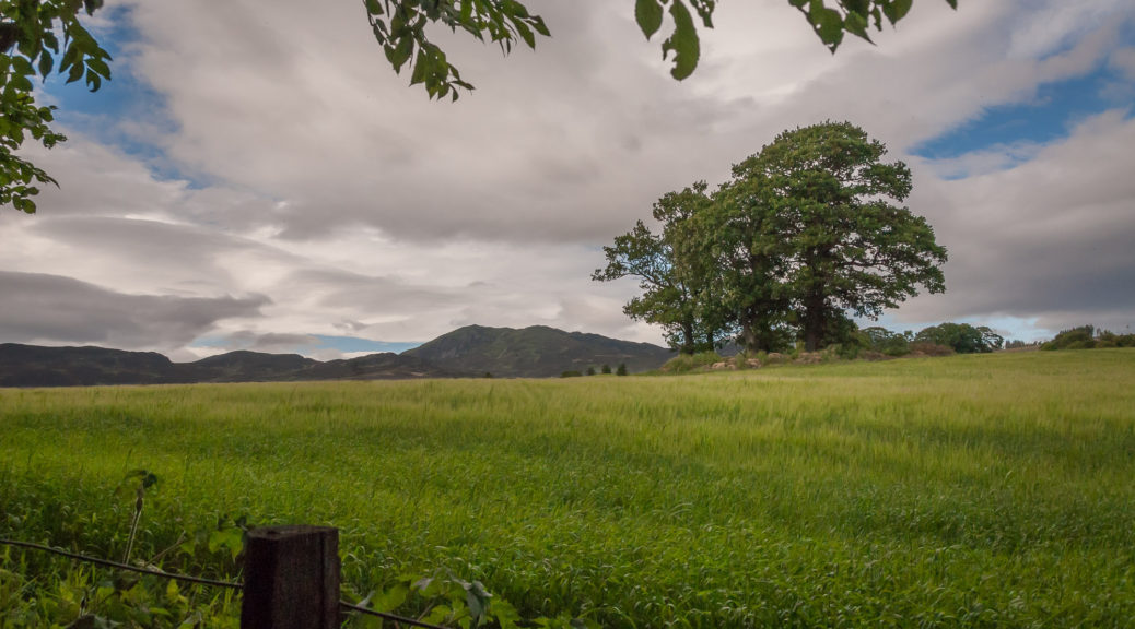 landscape near pitlochry